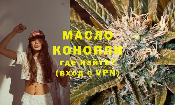 тгк Новодвинск