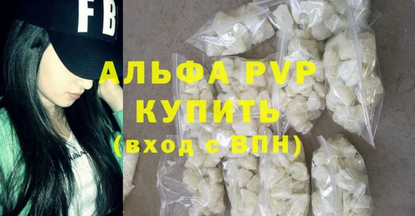 тгк Новодвинск