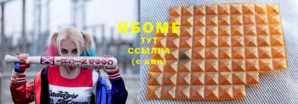 тгк Новодвинск