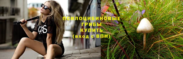 альфа пвп Новокубанск
