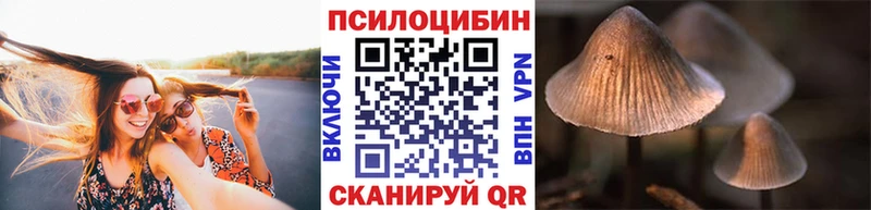 как найти закладки  Тетюши  Псилоцибиновые грибы Psilocybine cubensis 